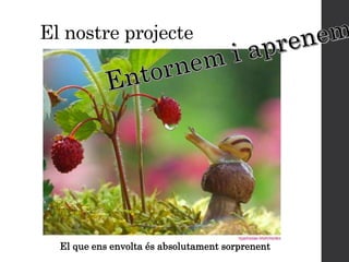 El nostre projecte
El que ens envolta és absolutament sorprenent
 