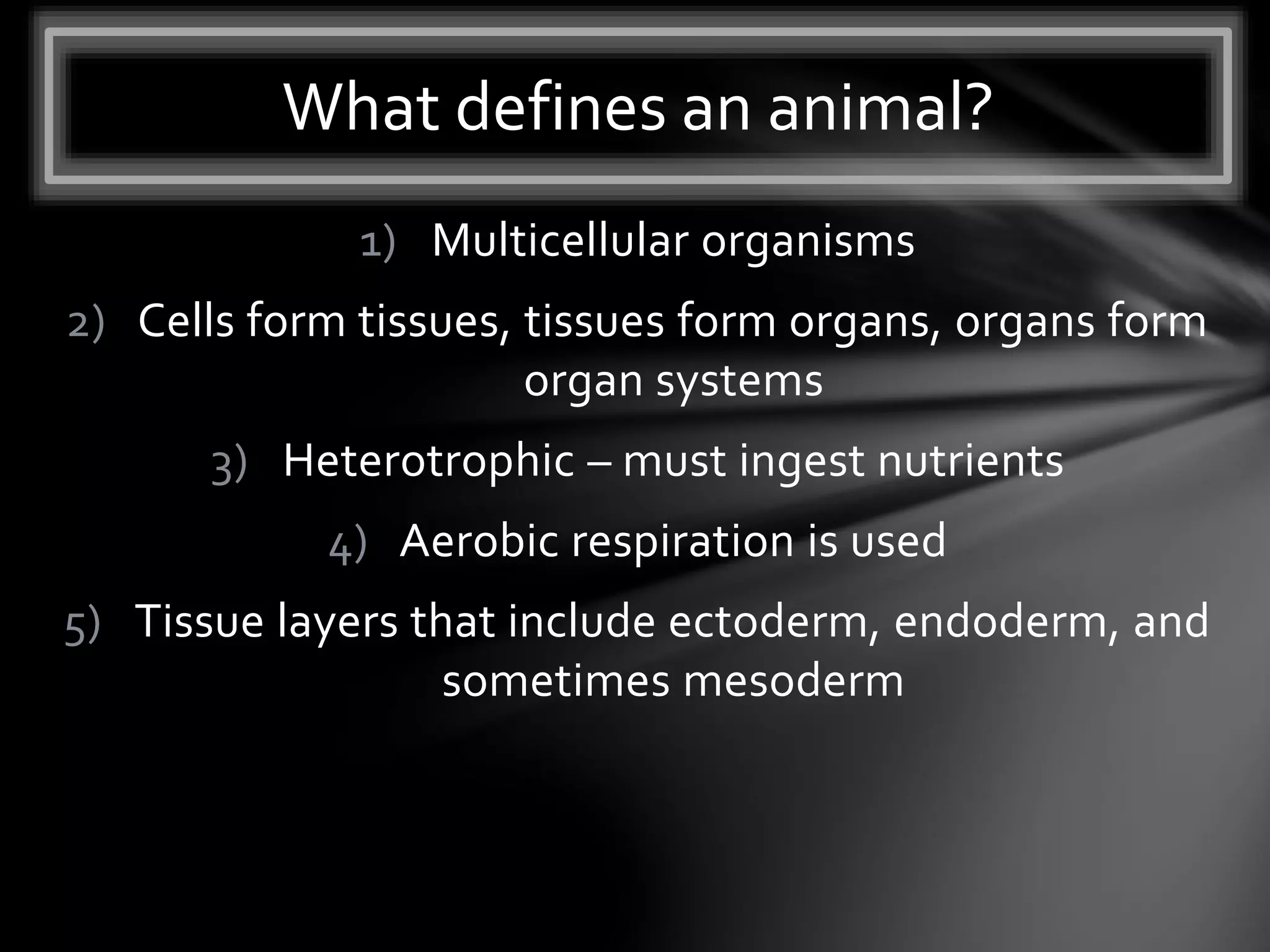 1) Multicellular organisms
2) Cells form tissues, tissues form organs, organs form
organ systems
3) Heterotrophic – must ingest nutrients
4) Aerobic respiration is used
5) Tissue layers that include ectoderm, endoderm, and
sometimes mesoderm
What defines an animal?
 