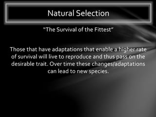 “The Survival of the Fittest”
Those that have adaptations that enable a higher rate
of survival will live to reproduce and thus pass on the
desirable trait. Over time these changes/adaptations
can lead to new species.
Natural Selection
 