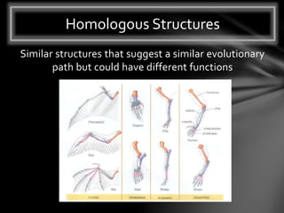 Similar structures that suggest a similar evolutionary
path but could have different functions
Homologous Structures
 