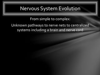 From simple to complex:
Unknown pathways to nerve nets to centralized
systems including a brain and nerve cord
Nervous System Evolution
 