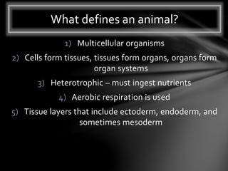 1) Multicellular organisms
2) Cells form tissues, tissues form organs, organs form
organ systems
3) Heterotrophic – must ingest nutrients
4) Aerobic respiration is used
5) Tissue layers that include ectoderm, endoderm, and
sometimes mesoderm
What defines an animal?
 
