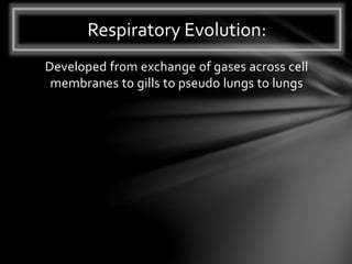 Developed from exchange of gases across cell
membranes to gills to pseudo lungs to lungs
Respiratory Evolution:
 