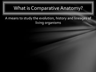 A means to study the evolution, history and lineages of
living organisms
What is Comparative Anatomy?
 