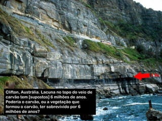 Clifton, Austrália. Lacuna no topo do veio de
carvão tem [supostos] 6 milhões de anos.
Poderia o carvão, ou a vegetação que
formou o carvão, ter sobrevivido por 6
milhões de anos?
 