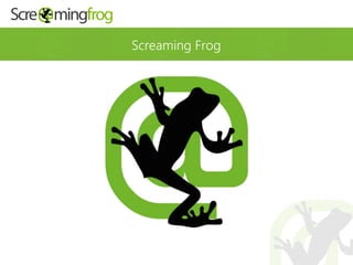 Screaming Frog
 