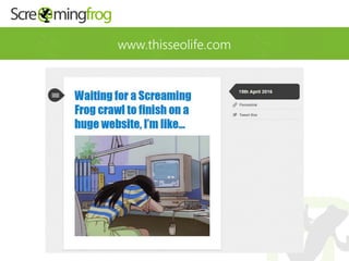 www.thisseolife.com
 