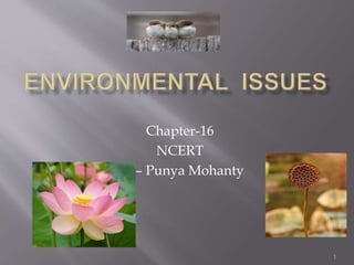 1
Chapter-16
NCERT
By – Punya Mohanty
 