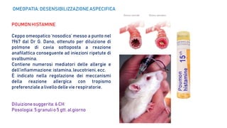 POUMON HISTAMINE
Ceppo omeopatico ‘nosodico’ messo a punto nel
1967 dal Dr G. Dano, ottenuto per diluizione di
polmone di cavia sottoposta a reazione
anafilattica conseguente ad iniezioni ripetute di
ovalbumina.
Contiene numerosi mediatori delle allergie e
dell’infiammazione:istamina, leucotrieni, ecc.
È indicato nella regolazione dei meccanismi
della reazione allergica con tropismo
preferenzialea livello delle vie respiratorie.
Diluizionesuggerita: 6 CH
Posologia:5 granuli o 5 gtt. al giorno
OMEOPATIA: DESENSIBILIZZAZIONE ASPECIFICA
 