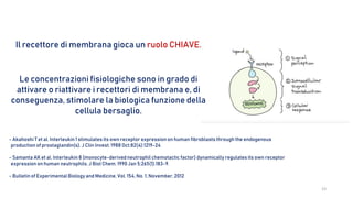 Il recettore di membrana gioca un ruolo CHIAVE.
Le concentrazioni fisiologiche sono in grado di
attivare o riattivare i recettori di membrana e, di
conseguenza, stimolare la biologica funzione della
cellula bersaglio.
23
- Akahoshi T et al. Interleukin 1 stimulates its own receptor expressionon human fibroblaststhrough the endogenous
production of prostaglandin(s). J Clin Invest. 1988 Oct;82(4):1219-24
- Samanta AK et al. Interleukin 8 (monocyte-derivedneutrophil chemotactic factor) dynamically regulatesits own receptor
expressionon human neutrophils.J Biol Chem. 1990 Jan 5;265(1):183-9.
- Bulletin of Experimental Biology and Medicine, Vol. 154,No. 1, November,2012
 