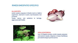ALLIUM CEPA
scolo nasale acquoso irritante narici e labbro
superiore, starnuti in serie, lacrimazione non
irritante.
Tosse, secca, con solletico in laringe,
aggravata dal freddo.
RIMEDI OMEOPATICI SPECIFICI
ARALIA RACEMOSA
non c’è flogosi oculare, scolo nasale acquoso,
ostruzione nasale, dispnea o tosse fastidiosa
prevalente dopo il primo sonno.
 