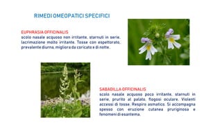 EUPHRASIA OFFICINALIS
scolo nasale acquoso non irritante, starnuti in serie,
lacrimazione molto irritante. Tosse con espettorato,
prevalente diurna, migliora da coricato e di notte.
SABADILLA OFFICINALIS
scolo nasale acquoso poco irritante, starnuti in
serie, prurito al palato, flogosi oculare. Violenti
accessi di tosse. Respiro asmatico. Si accompagna
spesso con eruzione cutanea pruriginosa e
fenomeni di esantema.
RIMEDI OMEOPATICI SPECIFICI
 