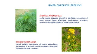 AMBROSIA ARTEMISIFOLIA
scolo nasale acquoso, starnuti e epistassi, sensazione di
naso chiuso, tosse affannosa, lacrimazione bruciante,
prurito intollerabile palpebre. Tosse asmatiforme.
SOLIDAGO VIRGA AUREA
narici irritate, secrezione di muco abbondante,
parossismi di starnuti, occhi arrossati e brucianti.
Dispnea continua, con asma.
RIMEDI OMEOPATICI SPECIFICI
 