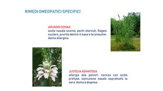 ARUNDO DONAX
scolo nasale scarso, pochi starnuti, flogosi
oculare, prurito dentro il naso e le orecchie.
Asma allergica.
JUSTICIA ADHATODA
allergia alle polveri, corizza con scolo
profuso, ostruzione nasale soprattutto la
sera. Asma e dispnea.
RIMEDI OMEOPATICI SPECIFICI
 