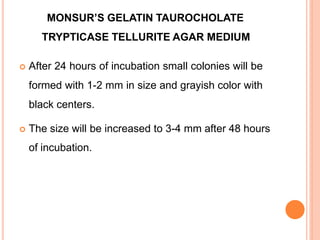 MONSUR’S GELATIN TAUROCHOLATE
TRYPTICASE TELLURITE AGAR MEDIUM
 After 24 hours of incubation small colonies will be
formed with 1-2 mm in size and grayish color with
black centers.
 The size will be increased to 3-4 mm after 48 hours
of incubation.
 