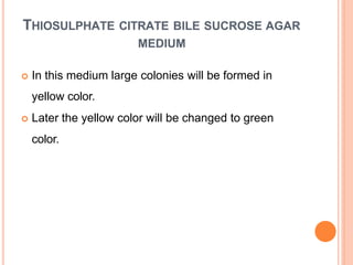THIOSULPHATE CITRATE BILE SUCROSE AGAR
MEDIUM
 In this medium large colonies will be formed in
yellow color.
 Later the yellow color will be changed to green
color.
 