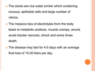  The stools are rice water similar which containing
mucous, epithelial cells and large number of
vibrios.
 The massive loss of electrolytes from the body
leads to metabolic acidosis, muscle cramps, anuria,
acute tubular necrosis, shock and some times
death.
 The disease may last for 4-5 days with an average
fluid loss of 15-20 liters per day.
 