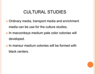 CULTURAL STUDIES
 Ordinary media, transport media and enrichment
media can be use for the culture studies.
 In macconkeys medium pale color colonies will
developed.
 In mansur medium colonies will be formed with
black centers.
 