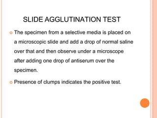 SLIDE AGGLUTINATION TEST
 The specimen from a selective media is placed on
a microscopic slide and add a drop of normal saline
over that and then observe under a microscope
after adding one drop of antiserum over the
specimen.
 Presence of clumps indicates the positive test.
 