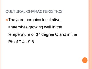 CULTURAL CHARACTERISTICS
They are aerobics facultative
anaerobes growing well in the
temperature of 37 degree C and in the
Ph of 7.4 - 9.6
 