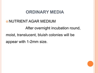 ORDINARY MEDIA
 NUTRIENT AGAR MEDIUM
After overnight incubation round,
moist, translucent, bluish colonies will be
appear with 1-2mm size.
 