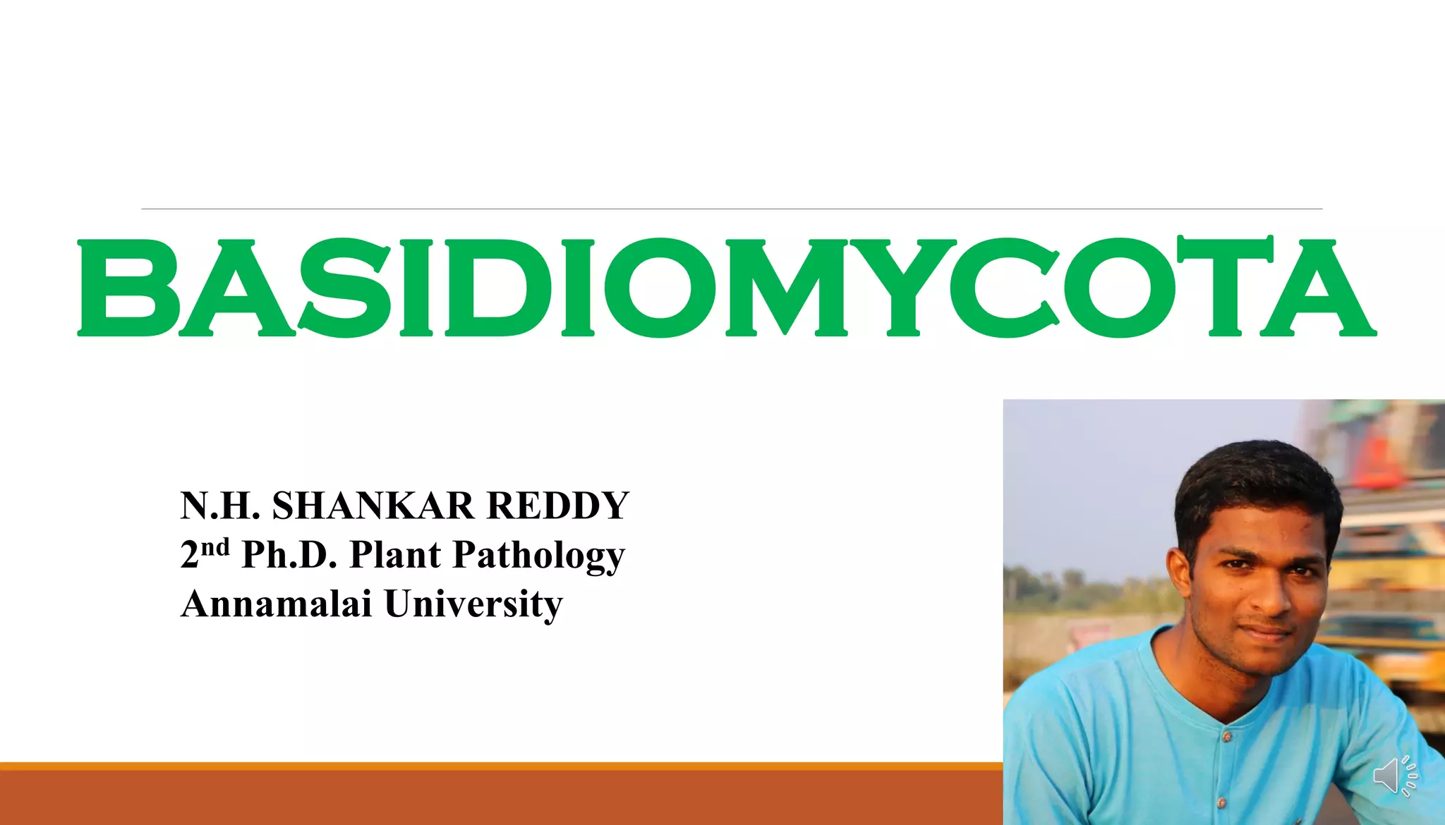 Basidiomycota | PDF