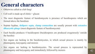 General characters
• Otherwise called as club fungi
• Cell wall is made up of chitin + glucan
• The most diagnostic feature of basidiomycota is presence of basidiospores which are
formed above the basidium
• Septate hyphae, dolipore septa, clamp connection are usually present with extensive
dikaryotic phage (most diagnostic feature of basidiomycota)
• Each basidia produces 4 basidiospore (basidiospores are produced exogenously/ outside
the basidia)
• Sex organs are lacking in the basidiomycetes, in which sexual process is mainly by
plasmogamy, karyogamy and meiosis
• Sex organs are lacking in basidiomycetes. The sexual process is represented by
plasmogamy and karyogamy and immediately followed by meiosis