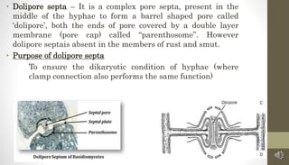 • Dolipore septa – It is a complex pore septa, present in the
middle of the hyphae to form a barrel shaped pore called
‘dolipore’, both the ends of pore covered by a double layer
membrane (pore cap) called “parenthosome”. However
dolipore septais absent in the members of rust and smut.
• Purpose of dolipore septa
To ensure the dikaryotic condition of hyphae (where
clamp connection also performs the same function)