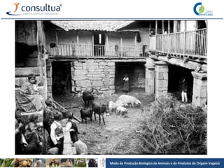Modo de Produção Biológico de Animais e de Produtos de Origem Vegetal
 