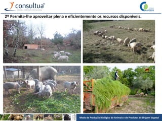 Modo de Produção Biológico de Animais e de Produtos de Origem Vegetal
2º Permite-lhe aproveitar plena e eficientemente os recursos disponíveis.
 