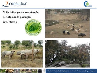 Modo de Produção Biológico de Animais e de Produtos de Origem Vegetal
5º Contribui para a manutenção
de sistemas de produção
sustentáveis.
 