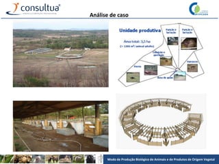 Modo de Produção Biológico de Animais e de Produtos de Origem Vegetal
Análise de caso
 