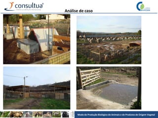 Modo de Produção Biológico de Animais e de Produtos de Origem Vegetal
Análise de caso
 