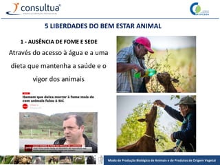 Modo de Produção Biológico de Animais e de Produtos de Origem Vegetal
5 LIBERDADES DO BEM ESTAR ANIMAL
1 - AUSÊNCIA DE FOME E SEDE
Através do acesso à água e a uma
dieta que mantenha a saúde e o
vigor dos animais
 