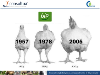 Modo de Produção Biológico de Animais e de Produtos de Origem Vegetal
 