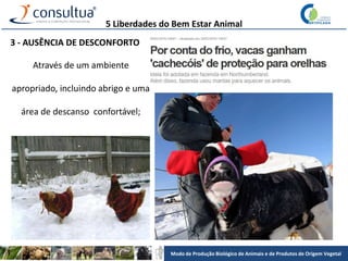 Modo de Produção Biológico de Animais e de Produtos de Origem Vegetal
3 - AUSÊNCIA DE DESCONFORTO
Através de um ambiente
apropriado, incluindo abrigo e uma
área de descanso confortável;
5 Liberdades do Bem Estar Animal
 