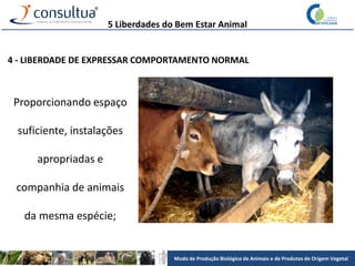 Modo de Produção Biológico de Animais e de Produtos de Origem Vegetal
4 - LIBERDADE DE EXPRESSAR COMPORTAMENTO NORMAL
Proporcionando espaço
suficiente, instalações
apropriadas e
companhia de animais
da mesma espécie;
5 Liberdades do Bem Estar Animal
 