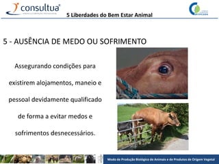 Modo de Produção Biológico de Animais e de Produtos de Origem Vegetal
5 - AUSÊNCIA DE MEDO OU SOFRIMENTO
Assegurando condições para
existirem alojamentos, maneio e
pessoal devidamente qualificado
de forma a evitar medos e
sofrimentos desnecessários.
5 Liberdades do Bem Estar Animal
 