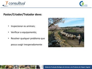 Modo de Produção Biológico de Animais e de Produtos de Origem Vegetal
Pastor/Criador/Tratador deve:
• Inspecionar os animais;
• Verificar o equipamento;
• Resolver qualquer problema que
possa surgir inesperadamente
 