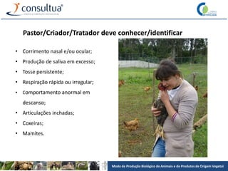 Modo de Produção Biológico de Animais e de Produtos de Origem Vegetal
• Corrimento nasal e/ou ocular;
• Produção de saliva em excesso;
• Tosse persistente;
• Respiração rápida ou irregular;
• Comportamento anormal em
descanso;
• Articulações inchadas;
• Coxeiras;
• Mamites.
Pastor/Criador/Tratador deve conhecer/identificar
 