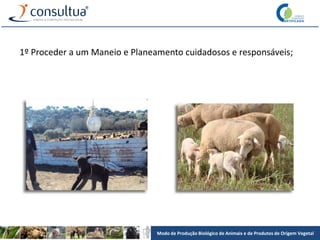 Modo de Produção Biológico de Animais e de Produtos de Origem Vegetal
1º Proceder a um Maneio e Planeamento cuidadosos e responsáveis;
 