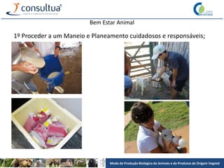 Modo de Produção Biológico de Animais e de Produtos de Origem Vegetal
Bem Estar Animal
1º Proceder a um Maneio e Planeamento cuidadosos e responsáveis;
 