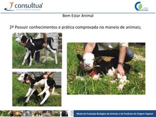 Modo de Produção Biológico de Animais e de Produtos de Origem Vegetal
Bem Estar Animal
2º Possuir conhecimentos e prática comprovada no maneio de animais;
 