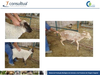 Modo de Produção Biológico de Animais e de Produtos de Origem Vegetal
 