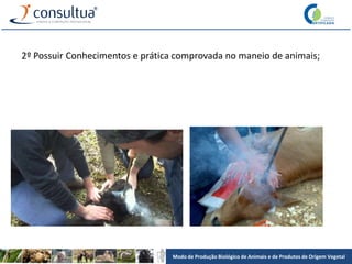 Modo de Produção Biológico de Animais e de Produtos de Origem Vegetal
2º Possuir Conhecimentos e prática comprovada no maneio de animais;
 