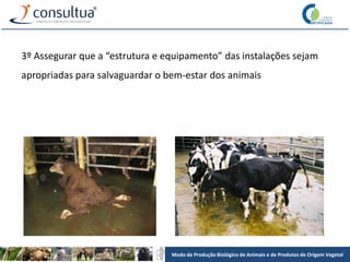 Modo de Produção Biológico de Animais e de Produtos de Origem Vegetal
3º Assegurar que a “estrutura e equipamento” das instalações sejam
apropriadas para salvaguardar o bem-estar dos animais
 