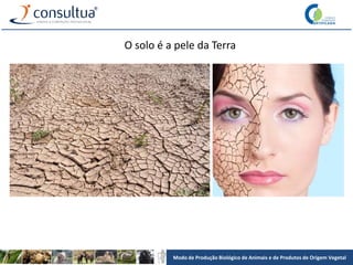 Modo de Produção Biológico de Animais e de Produtos de Origem Vegetal
O solo é a pele da Terra
 