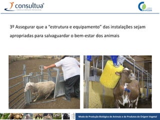Modo de Produção Biológico de Animais e de Produtos de Origem Vegetal
3º Assegurar que a “estrutura e equipamento” das instalações sejam
apropriadas para salvaguardar o bem-estar dos animais
 