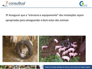 Modo de Produção Biológico de Animais e de Produtos de Origem Vegetal
3º Assegurar que a “estrutura e equipamento” das instalações sejam
apropriadas para salvaguardar o bem-estar dos animais
 