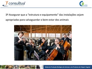 Modo de Produção Biológico de Animais e de Produtos de Origem Vegetal
3º Assegurar que a “estrutura e equipamento” das instalações sejam
apropriadas para salvaguardar o bem-estar dos animais
 